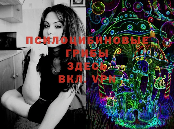 ECSTASY Новодвинск