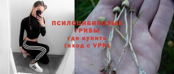 бутират Новозыбков