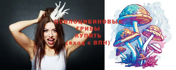 СК Новокубанск