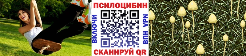 мега ССЫЛКА  Кашира  Псилоцибиновые грибы Cubensis 