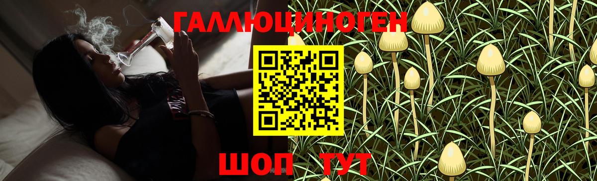 Псилоцибиновые грибы Cubensis  Вход с VPN  Кашира  Псилоцибиновые грибы Psilocybe 