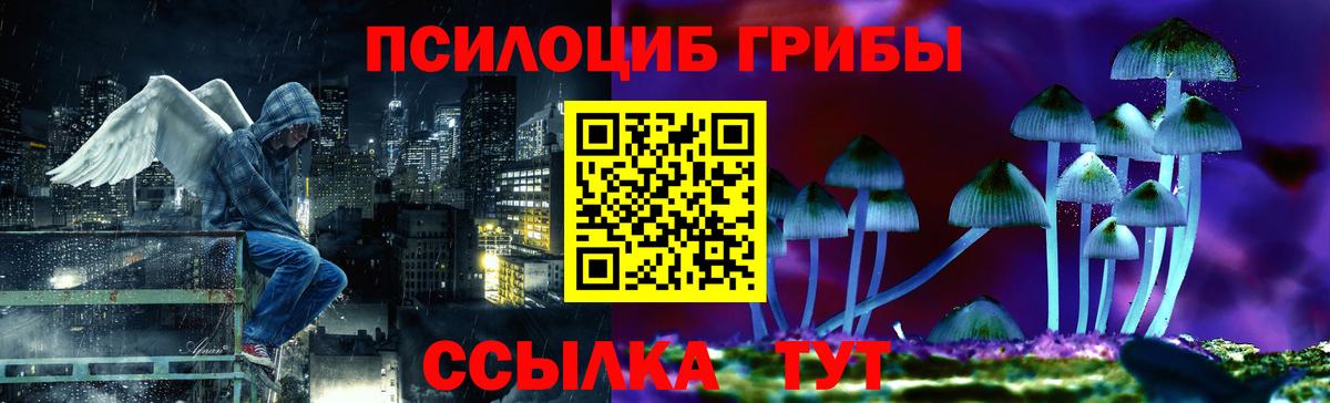 где купить наркоту  Кашира  Псилоцибиновые грибы Cubensis 